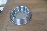 dog bowl