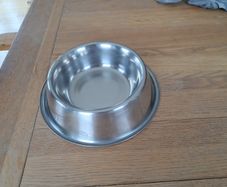 dog bowl