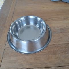 dog bowl
