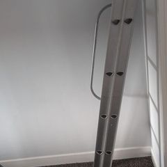 ladder with safety rail