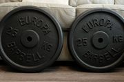 25kg x 2 standard 1" diameter cast iron