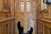 Ernie Ball StringRay 2002