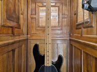 main image for ad Ernie Ball StringRay 2002