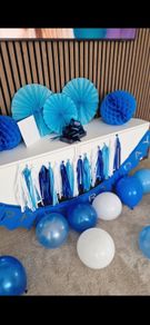 Birthday Party Decorations