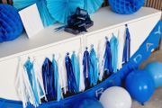 Birthday Party Decorations