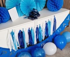 Birthday Party Decorations