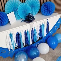 Birthday Party Decorations