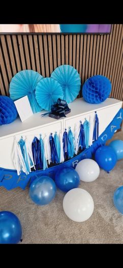 Birthday Party Decorations