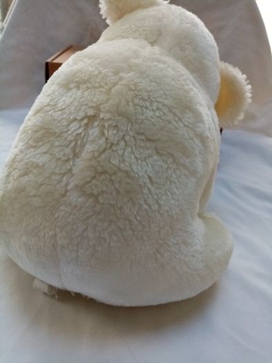 White Bear in a box