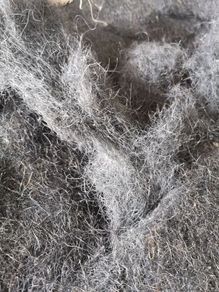 Horsehair Upholstery Stuffing