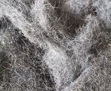 Horsehair Upholstery Stuffing