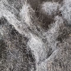 Horsehair Upholstery Stuffing