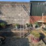 Ladder Image 3