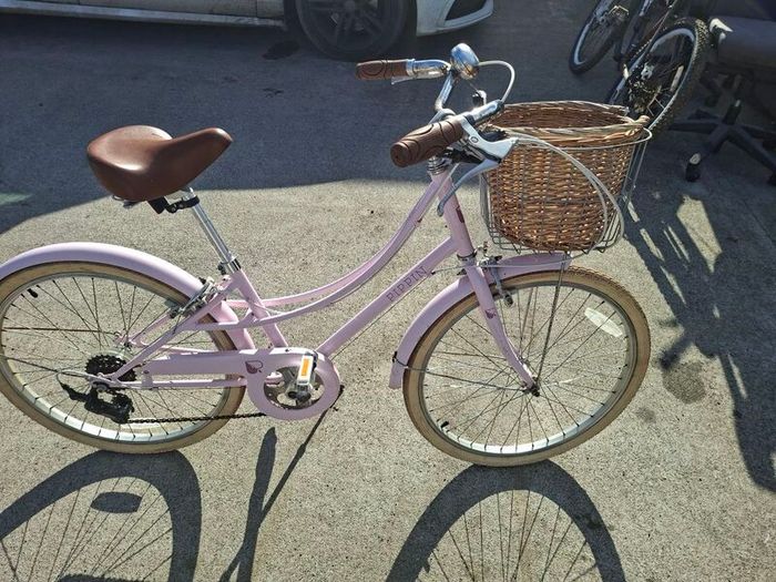 pink pippin 20 inch bike