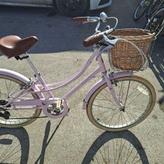 pink pippin 20 inch bike