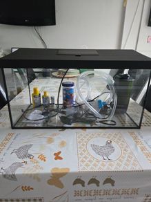 fish/turtle tank