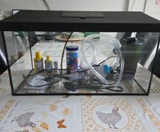 fish/turtle tank