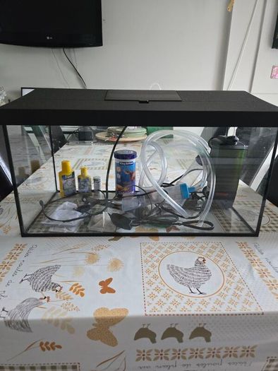 fish/turtle tank