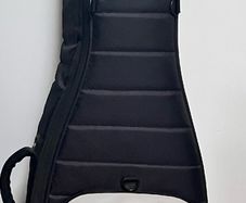 Mono Dual Bass Case
