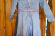 Elsa costume