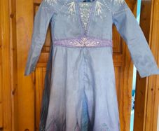 Elsa costume