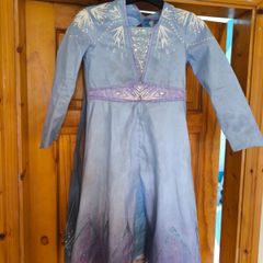 Elsa costume