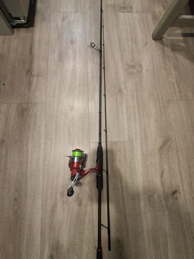 Fishing rods with reels