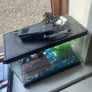 fish tank Image 6