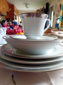Noritake Contemporary Signature Platinum Set