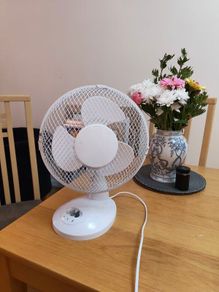 Small Fan