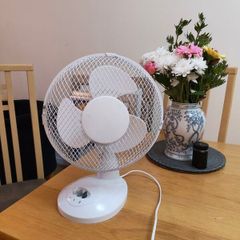 Small Fan