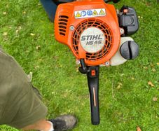 hedge trim