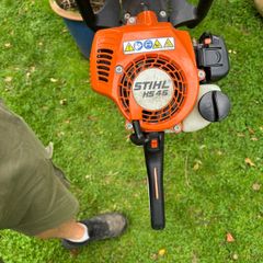 hedge trim