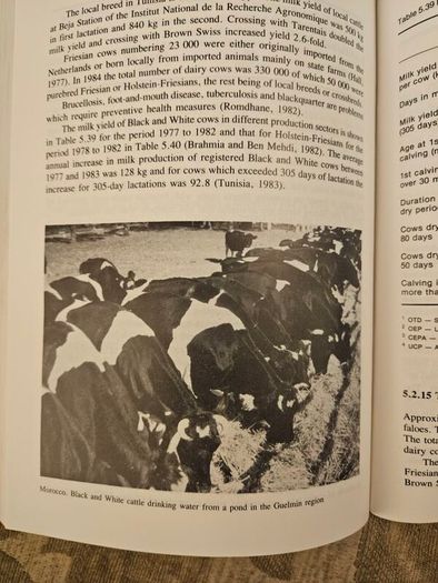 The International Friesian Strain Comparison Trial. A World Perspective.  By H.a. Jasiorowski. M. Stolzman. Z. Reklewski. First Edition Paperback In Good Condition.