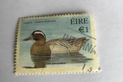 Irish stamp - Garganey