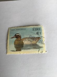 Irish stamp - Garganey