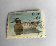 Irish stamp - Garganey