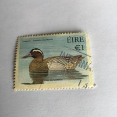 Irish stamp - Garganey