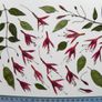Fuchsia - Pressed Flowers for Crafting: Flowers, Stems, Leaves Image 3