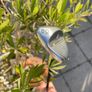 Titleist Vokey SM9 60 Wedge 08M Image 2