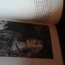 In The Pillory The Borgia Pope (out of print book) Image 2