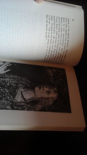 In The Pillory The Borgia Pope (out of print book)