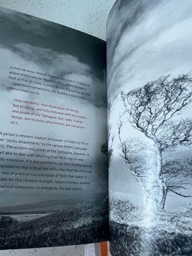Teachings of the Buddha (Eternal Moments Series) Hardback