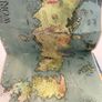 Folio society game of thrones Image 6