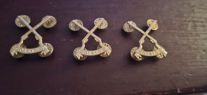 Coisite Irish Infantry collar badges