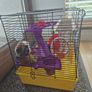 Hamster cage Image 3
