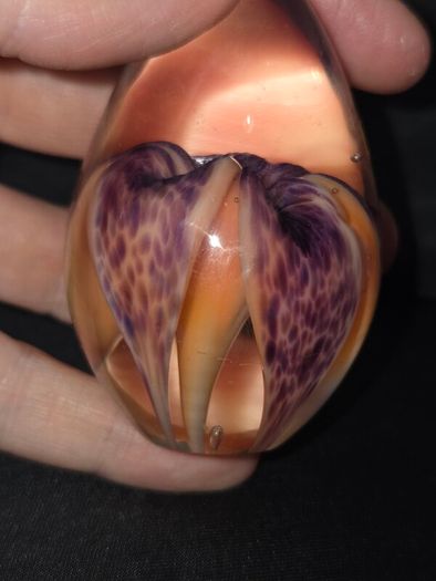 1999 Glass Eye Studio Purple Flower Paperweight