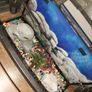 40 liter full glass aquarium with 2 filters and lots of extras Image 9