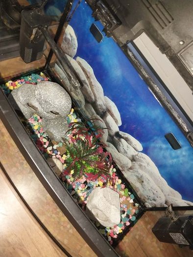 40 liter full glass aquarium with 2 filters and lots of extras