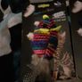 DOG and cat Image 6